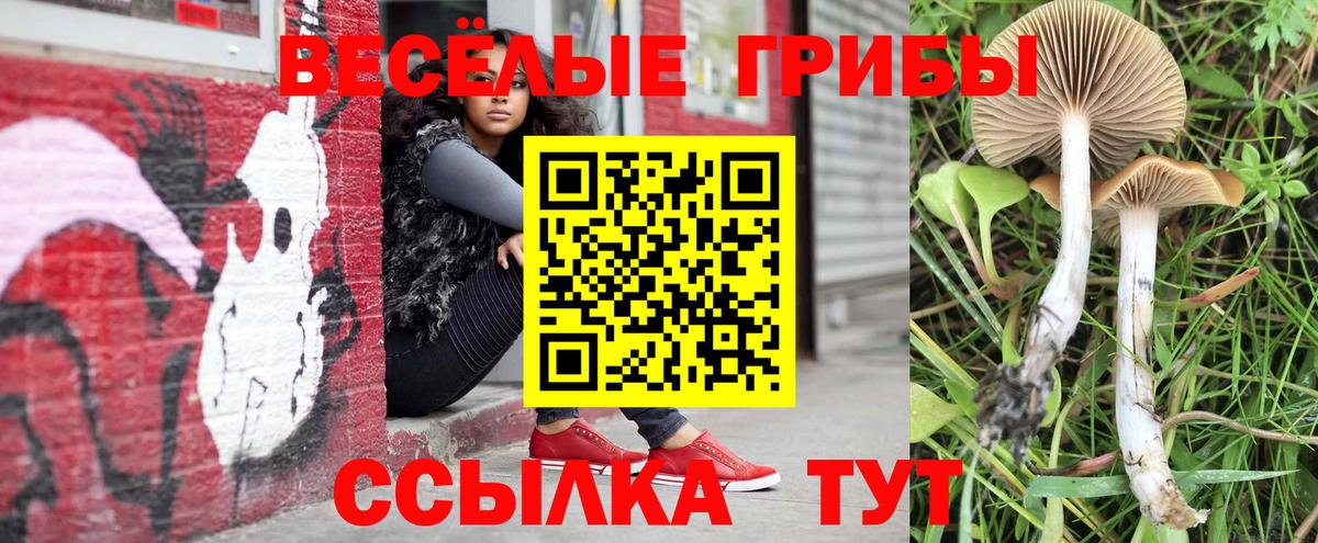 Псилоцибиновые грибы мухоморы  Галлюциногенные грибы прущие грибы  Королёв  Вход с VPN 